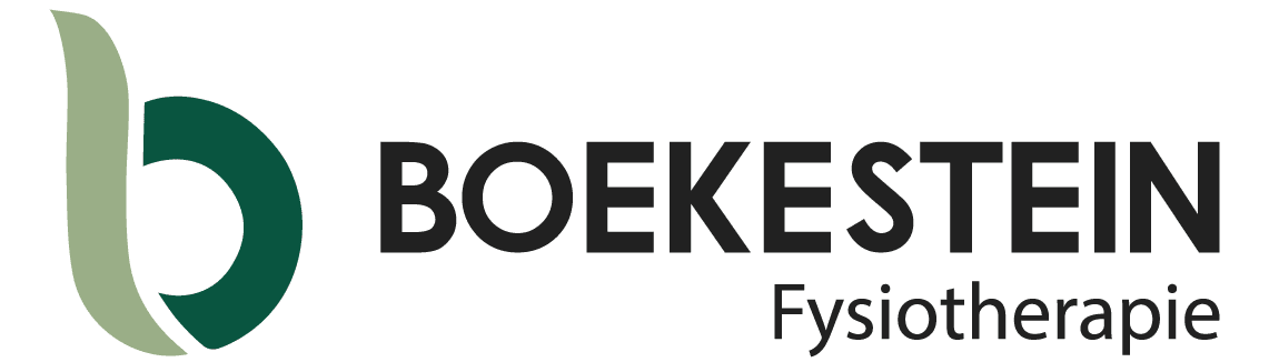 Boekestein logo