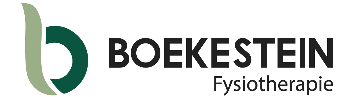 Boekestein logo